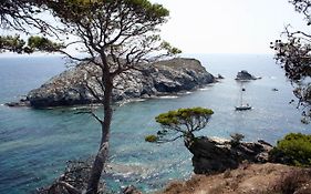 T2 vue mer 50m de la plage à Giens (83)