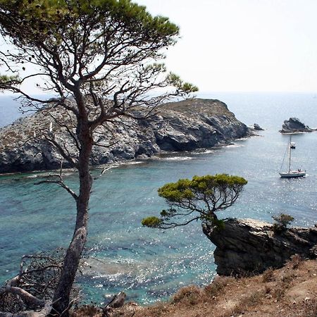 T2 vue mer 50m de la plage à Giens  Hyères Extérieur photo