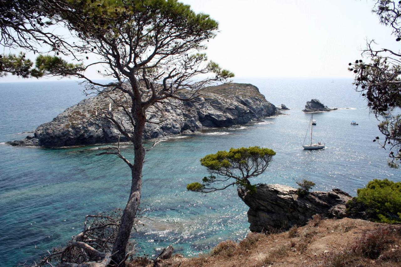 T2 vue mer 50m de la plage à Giens  Hyères Extérieur photo